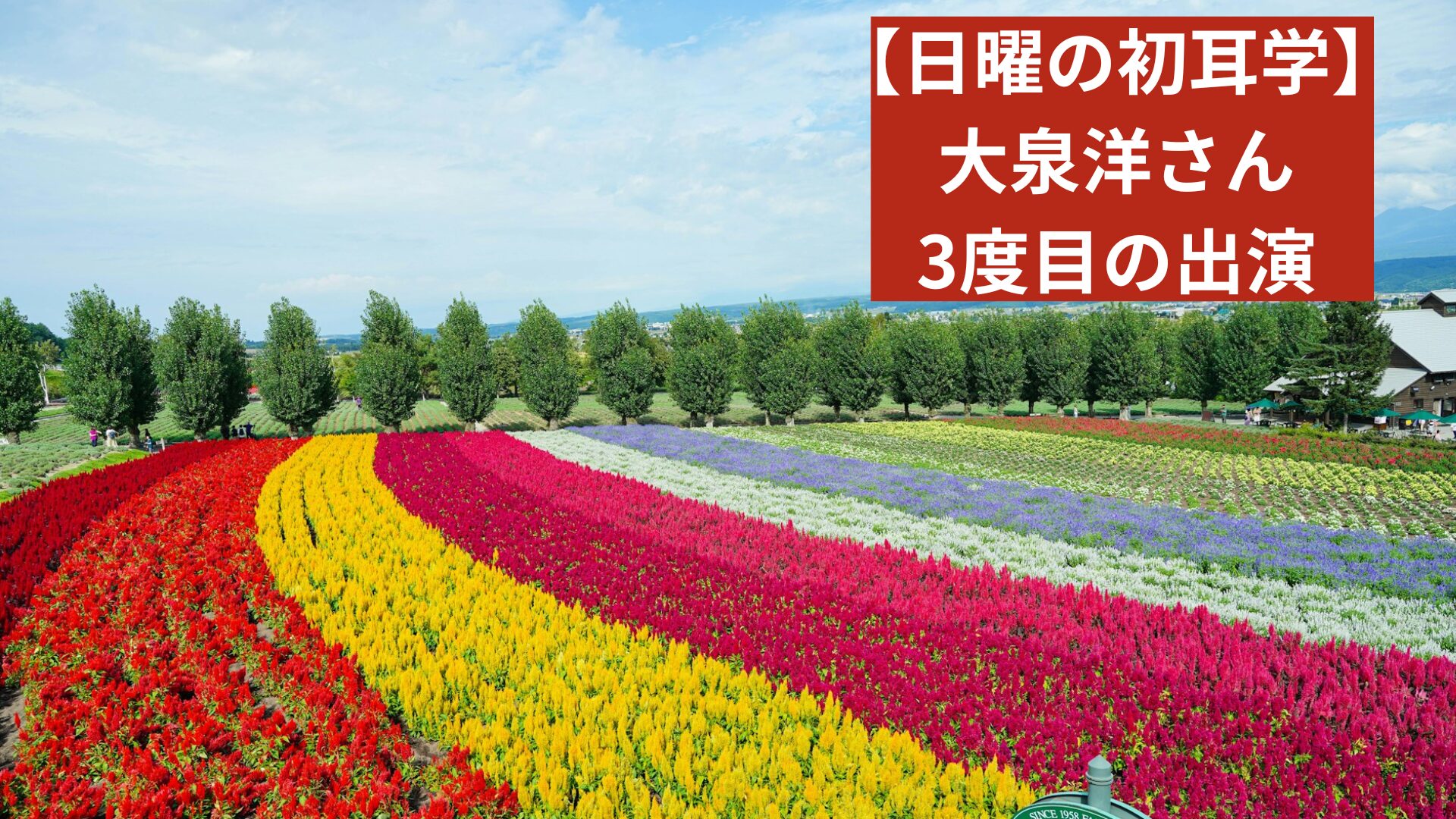 北海道の花