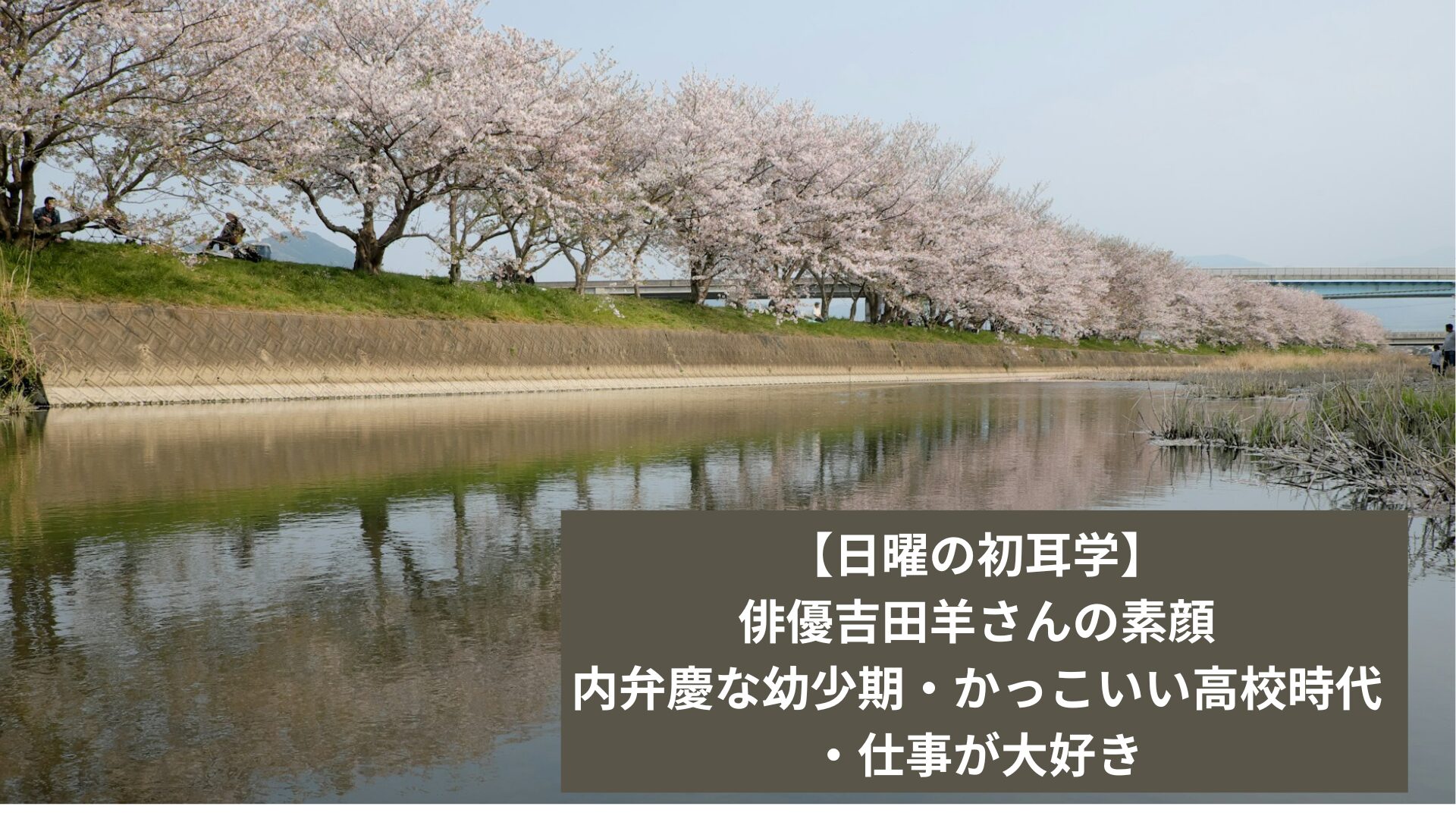 福岡の桜