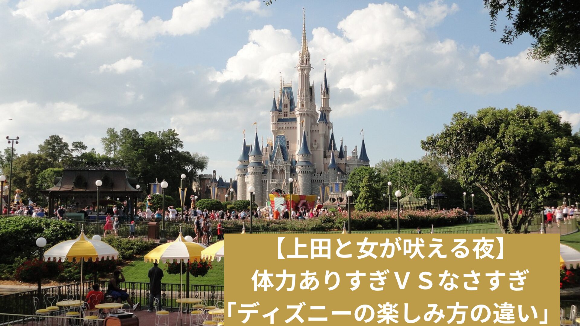 ディズニーランド